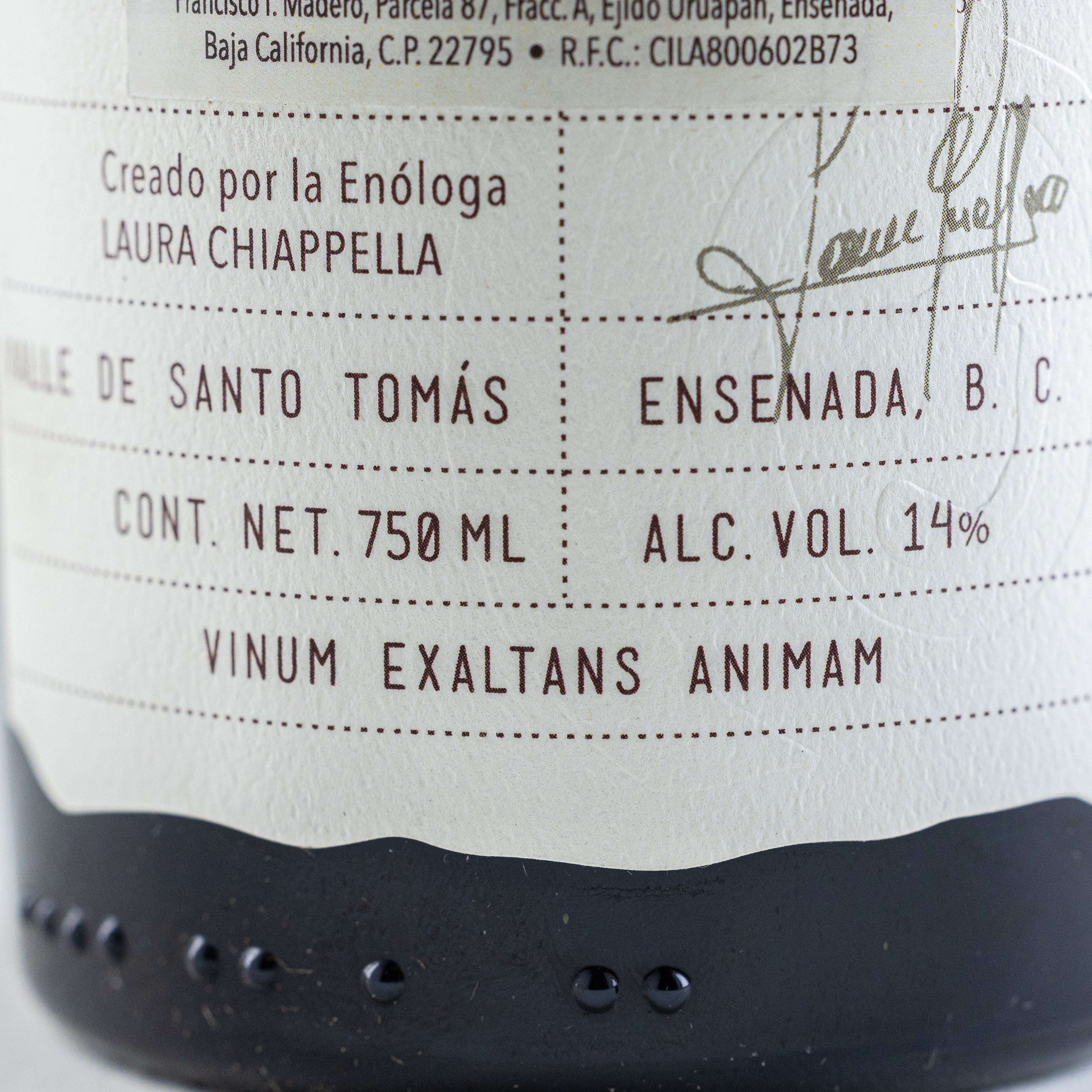 CORDUS ENSAMBLE ESENCIAL